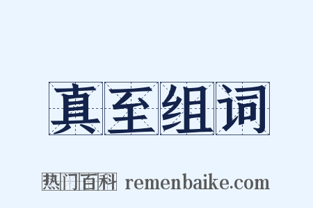 真至组词是什么意思的图片